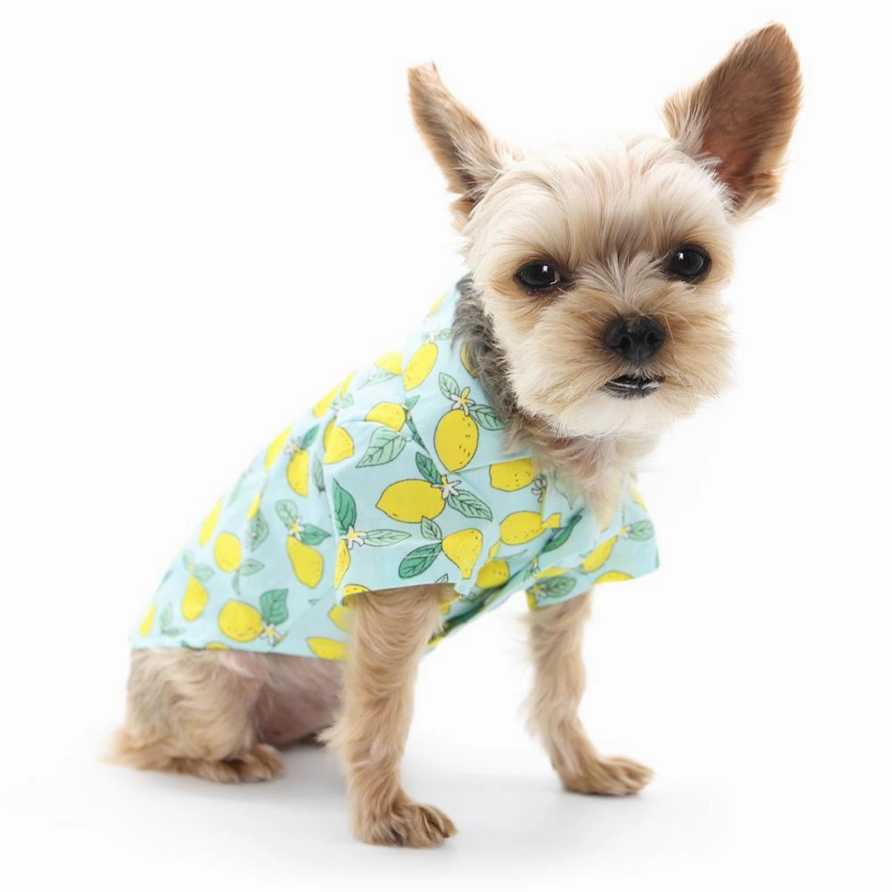 Blue Lemon Dog Shirt