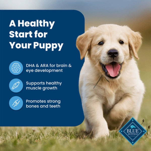 BLUE Life Protection Formula Chicken & Brown Rice Recipe Dry Puppy Food