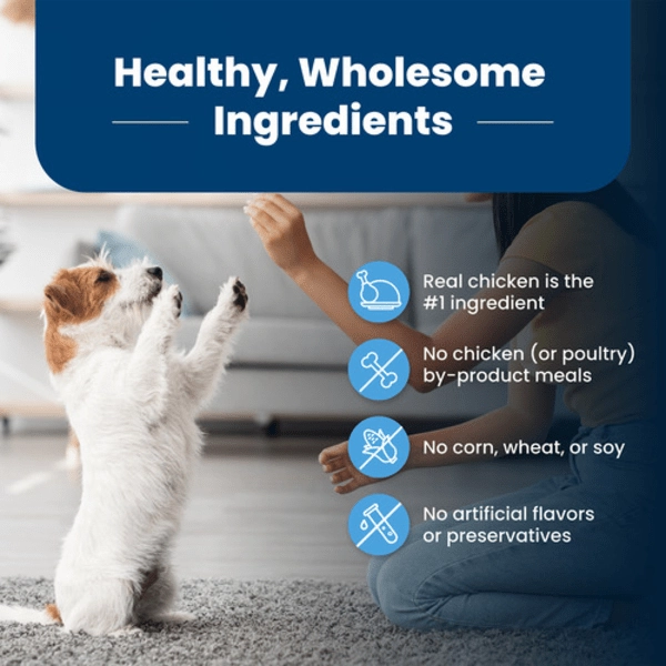 BLUE Life Protection Formula Chicken & Brown Rice Recipe Dry Puppy Food