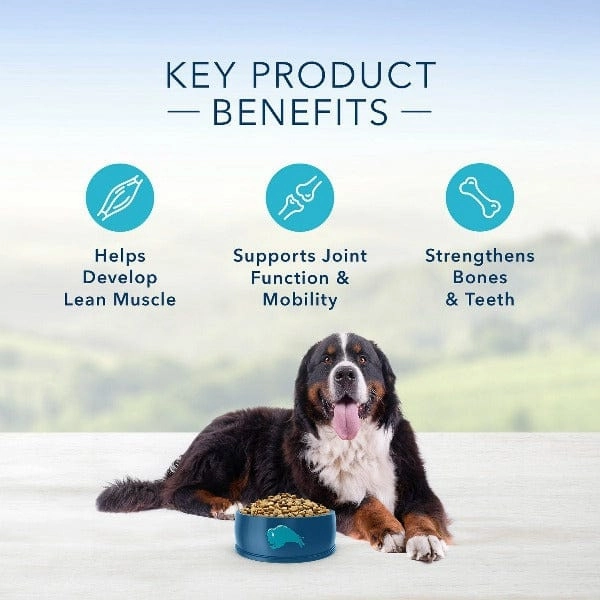 BLUE Life Protection Formula Large Breed Beef & Brown Rice Recipe Dry Dog Food, 26lb