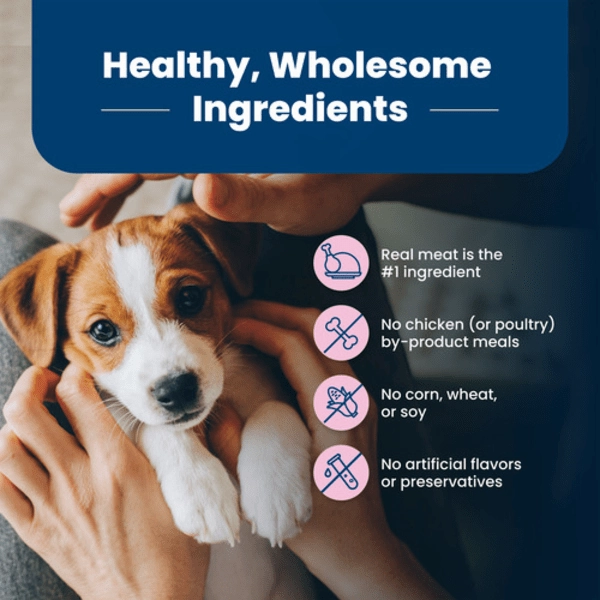 BLUE Life Protection Formula Small Breed Chicken & Oatmeal Recipe Dry Puppy Food, 6lb