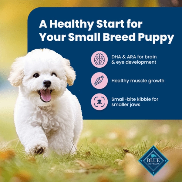 BLUE Life Protection Formula Small Breed Chicken & Oatmeal Recipe Dry Puppy Food, 6lb