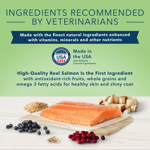 BLUE True Solutions Skin & Coat Care Adult Dry Dog Food, 22lb