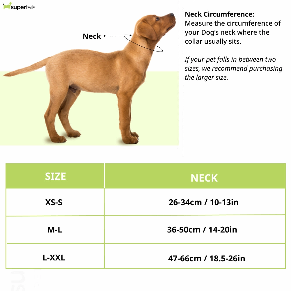 Boss Core Walk Collar for Dogs (Camel)