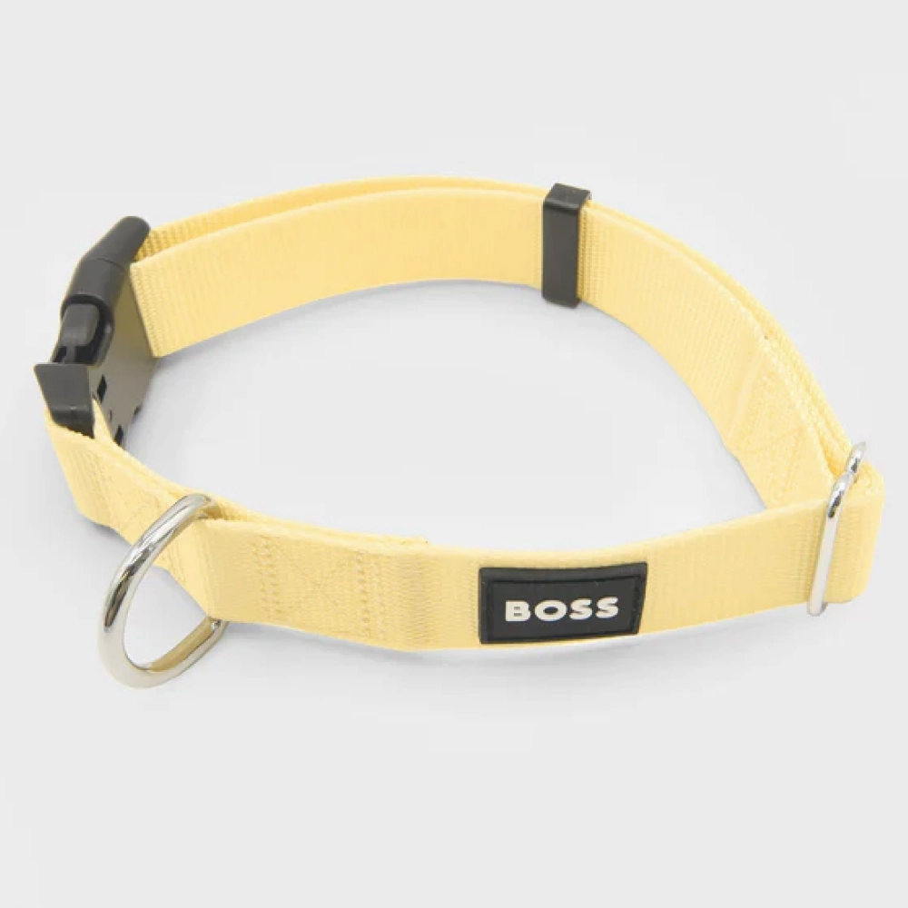 Boss Core Walk Collar for Dogs (Yellow)