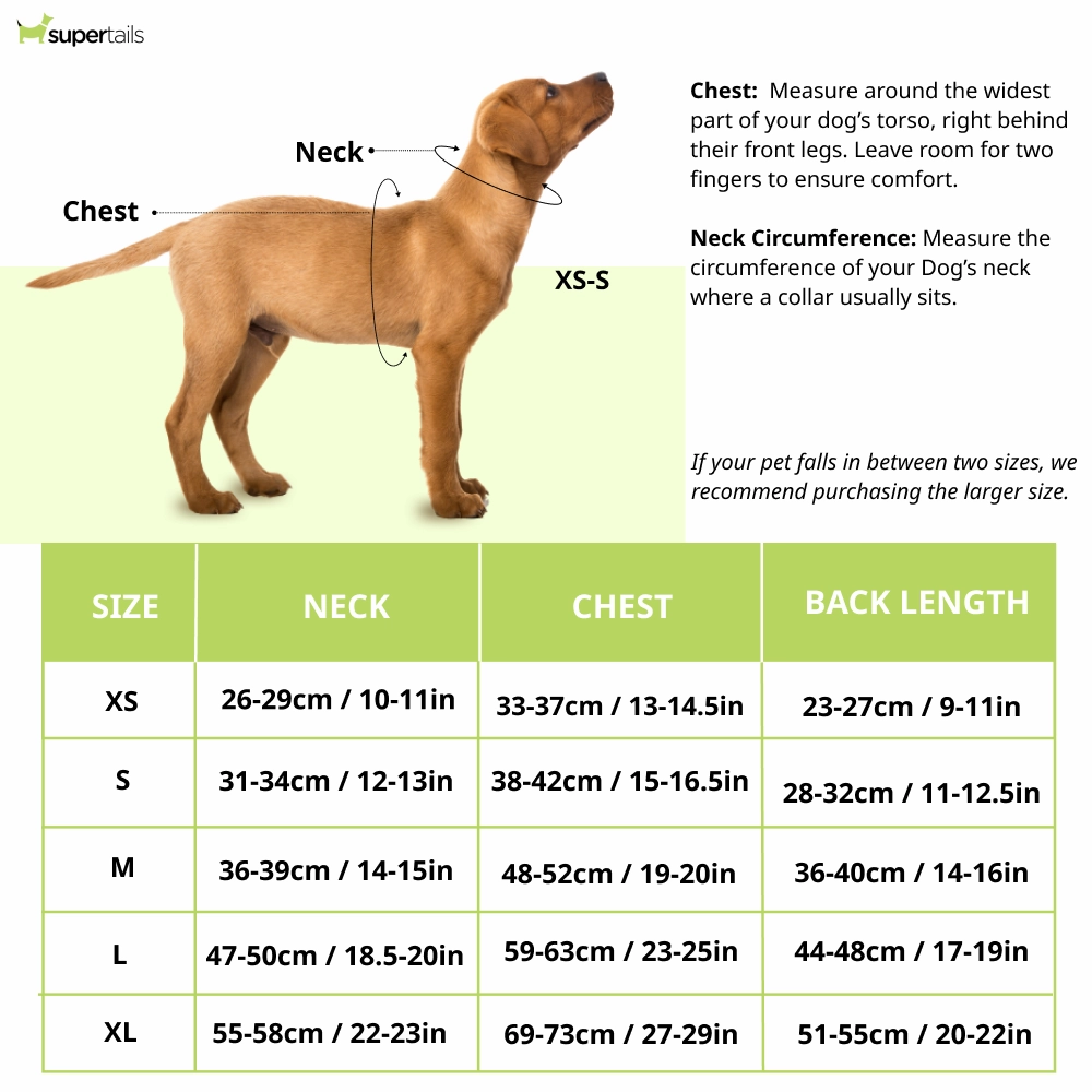 Boss Core Walk Harness for Dogs (Jet Black)