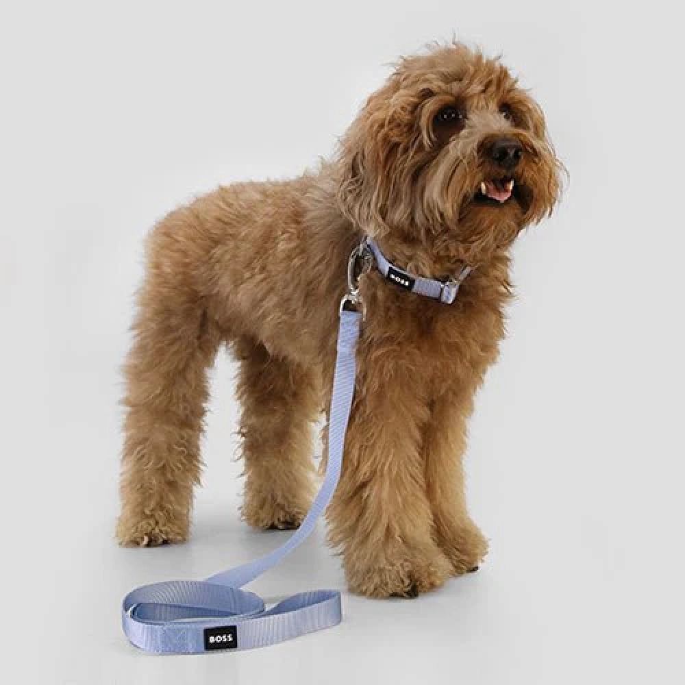 Boss Core Walk Leash for Dogs (Bel Air Blue)