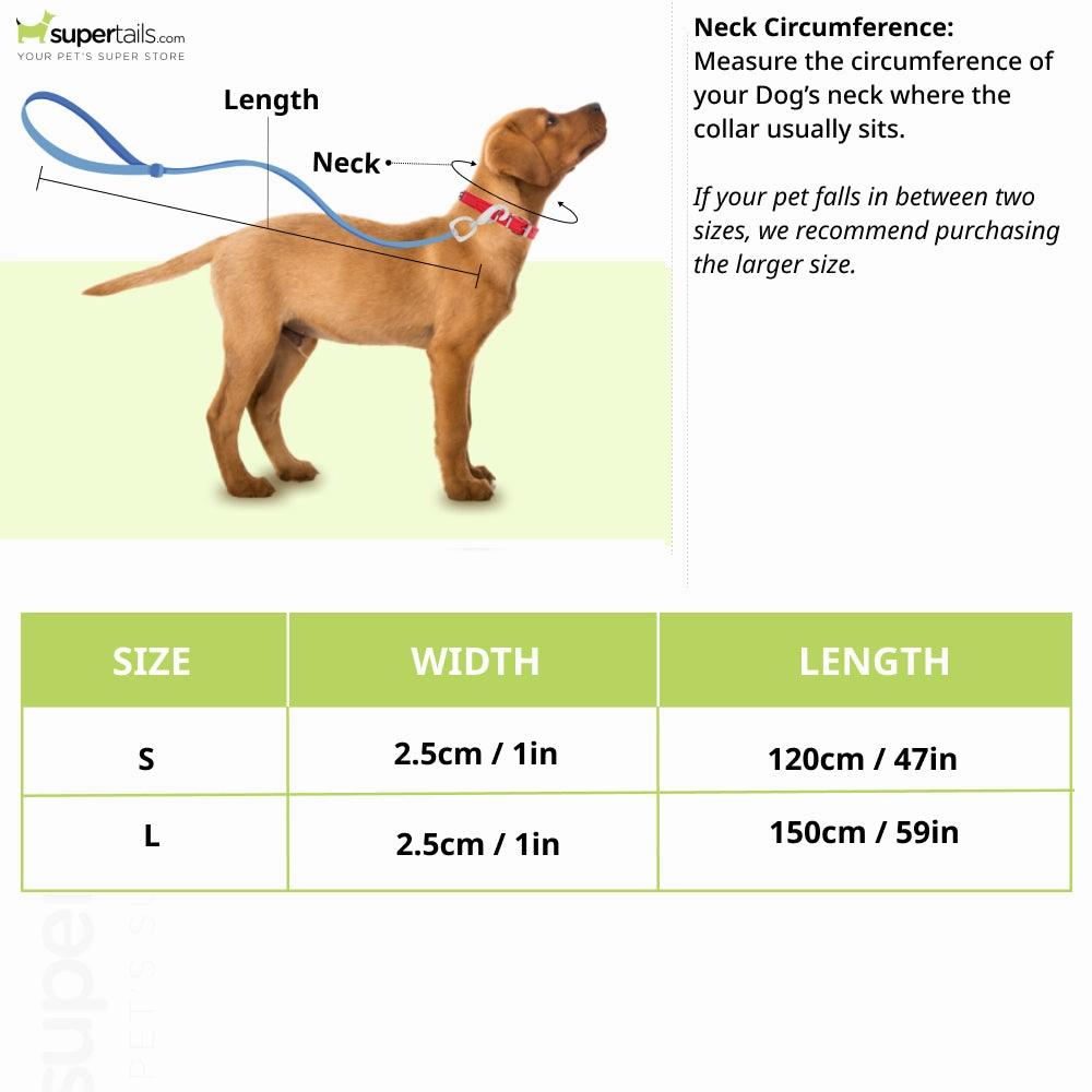 Boss Core Walk Leash for Dogs (Monogram)