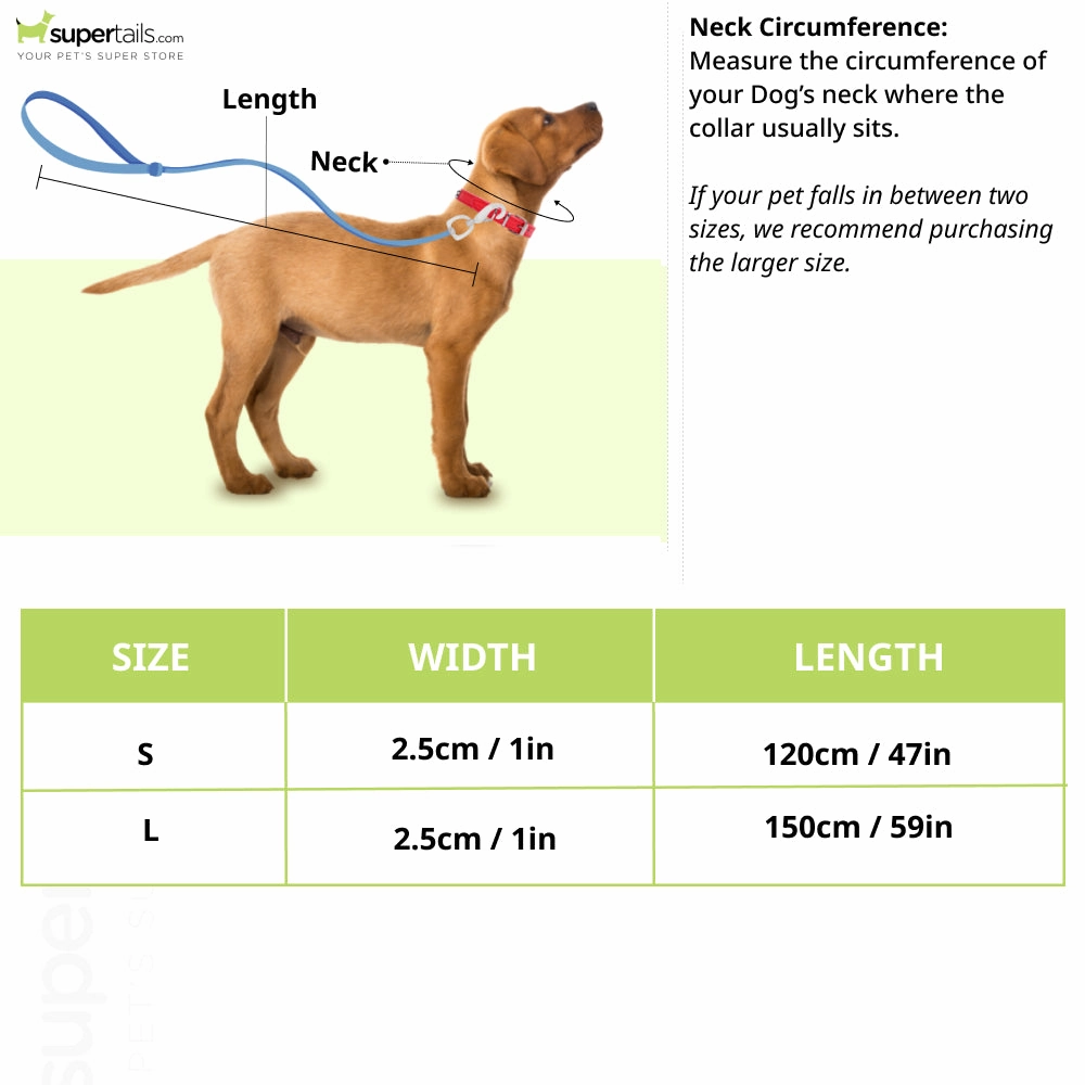 Boss Core Walk Leash for Dogs (Stripe)