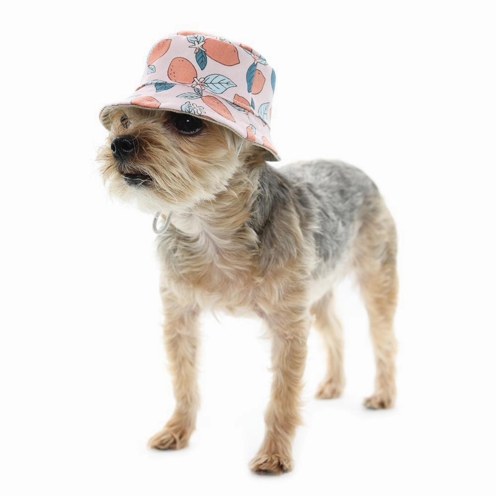 Bucket Dog Hat Lemon Pink