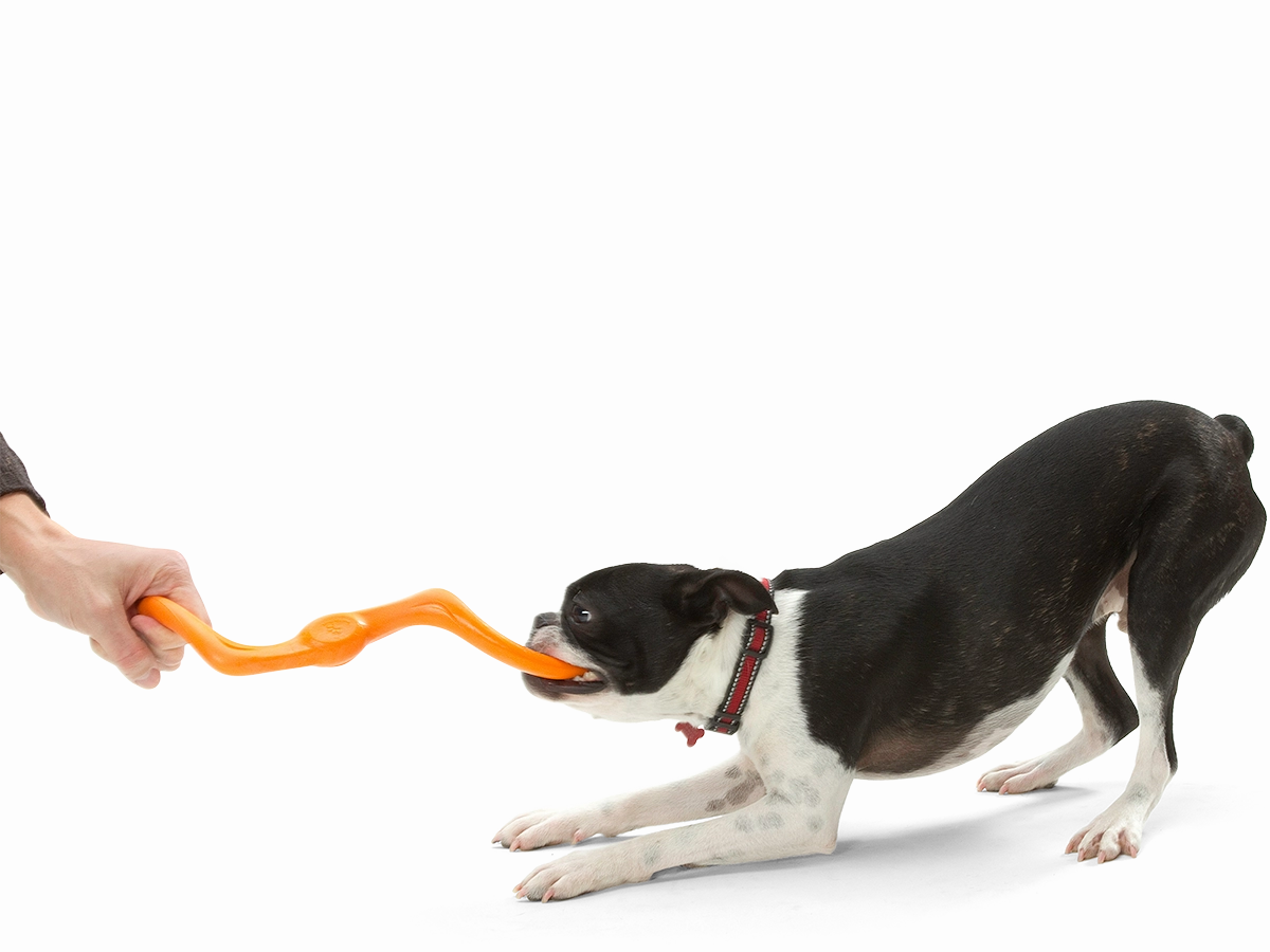 Bumi Dog Tug Toy