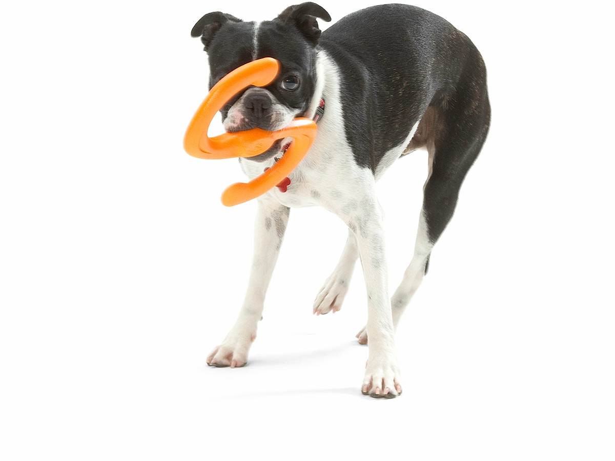 Bumi Dog Tug Toy