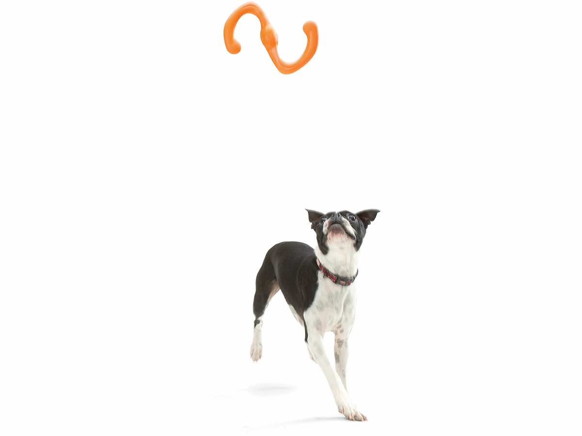 Bumi Dog Tug Toy