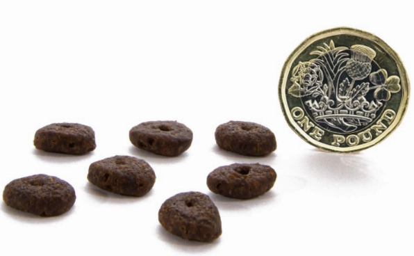 Canagan Scottish Salmon Small Breed Dry Dog Food