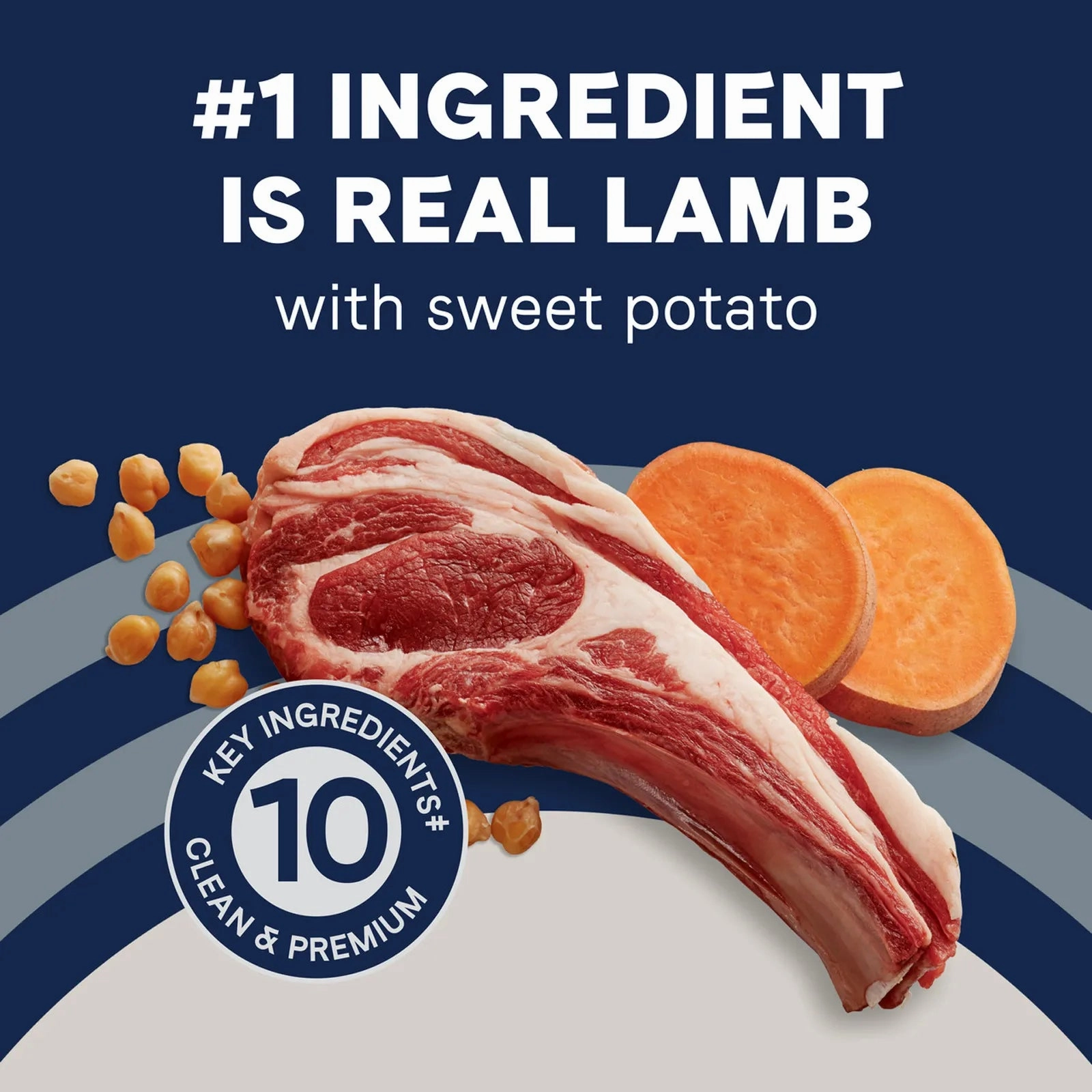 Canidae PURE Grain Free Dry Dog Food - Lamb & Sweet Potato