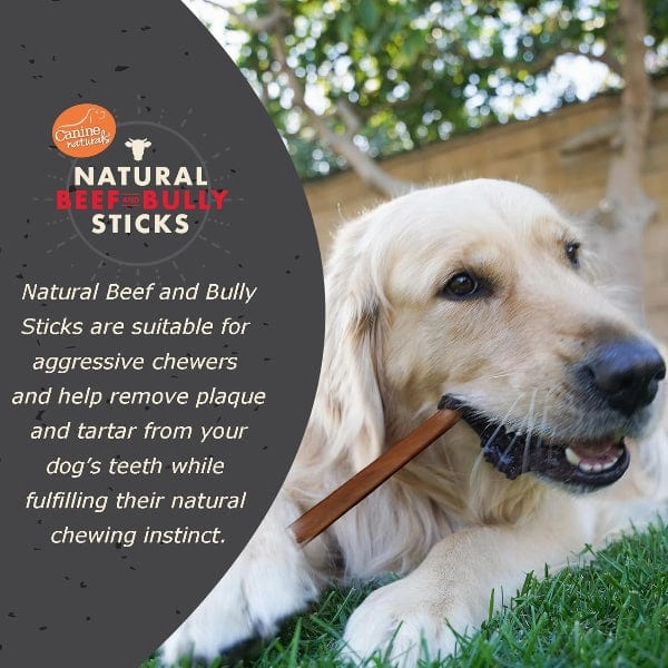 Canine Naturals | Natural Beef & Bully Sticks