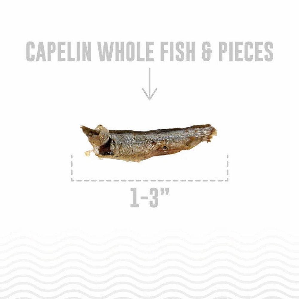 Capelin Whole Fish Dog Treats