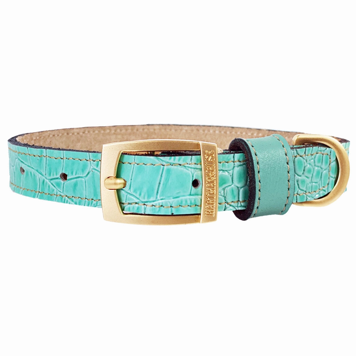 Cayman Collection Dog Collar Turquoise
