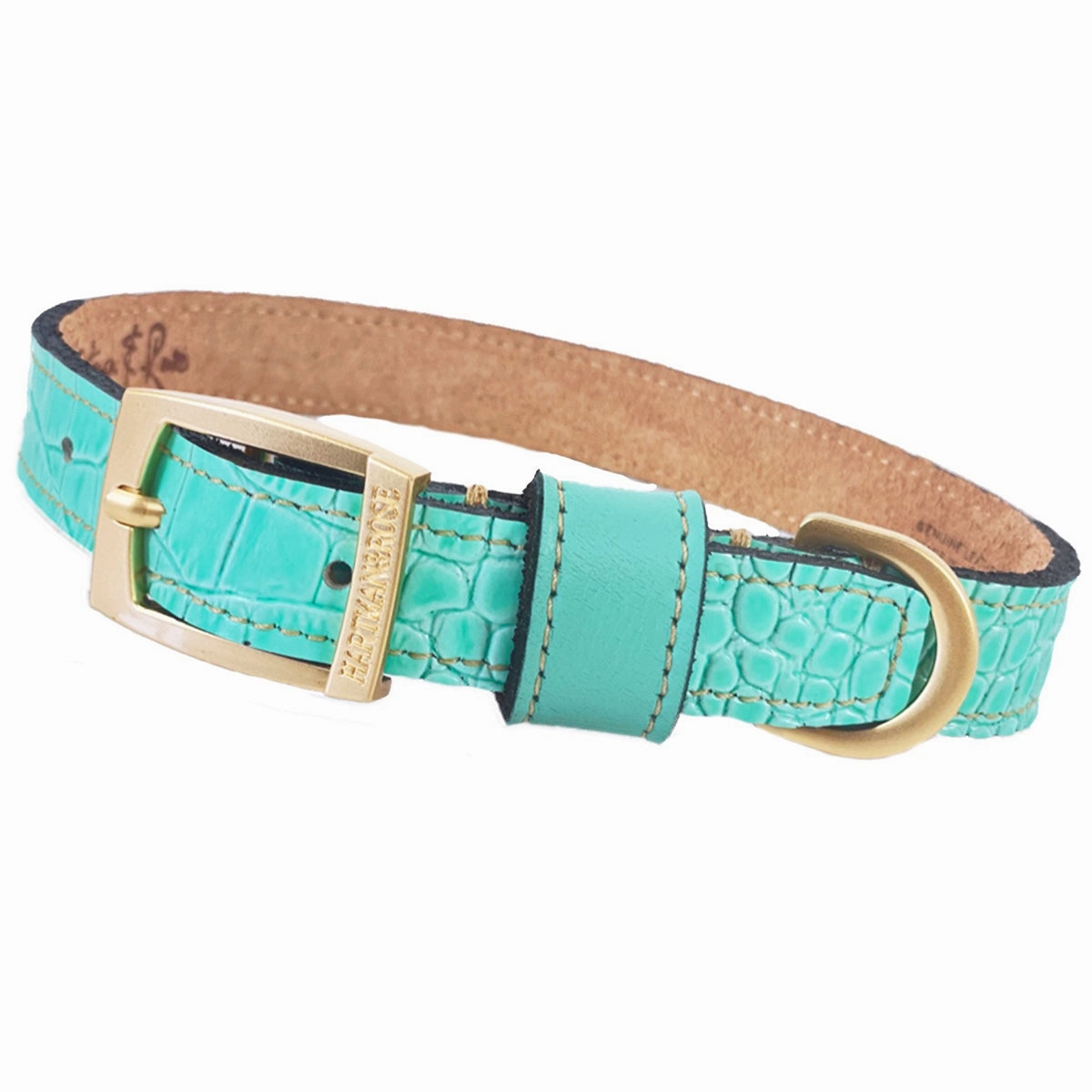 Cayman Collection Dog Collar Turquoise