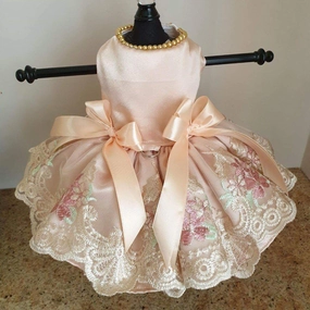 Champagne With Embroidered Lace Dog Dress 16"