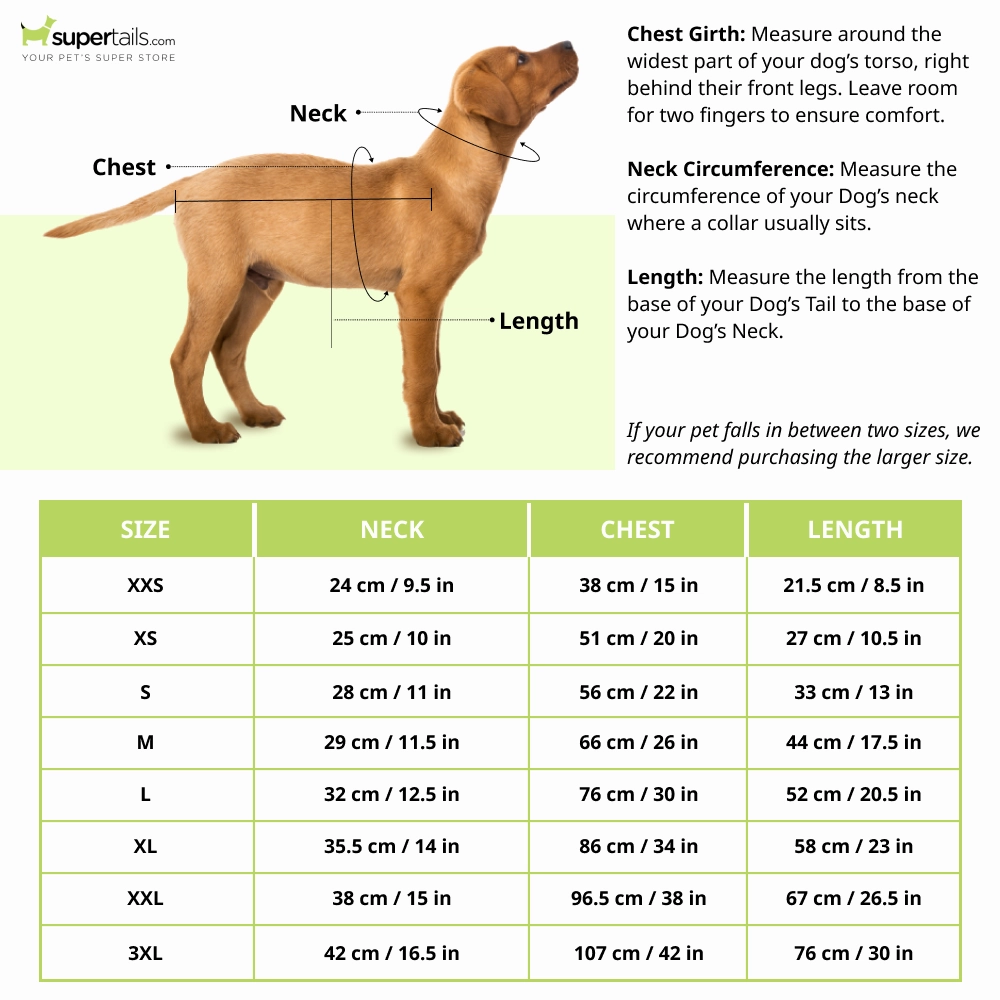 Cheeku Petfluencer Graphic Cotton T Shirt for Dogs and Cats (Sky Blue)