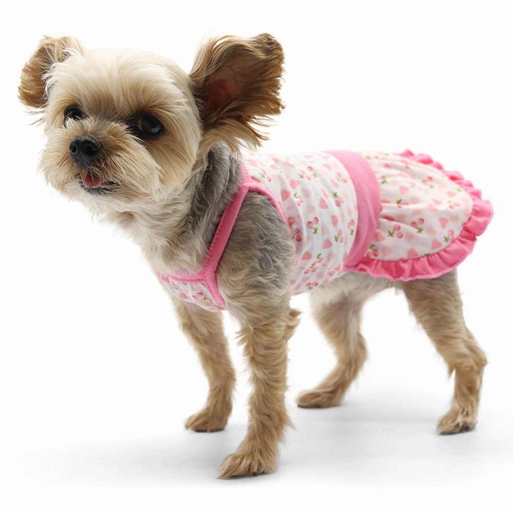 Cherish Heart Dog Dress