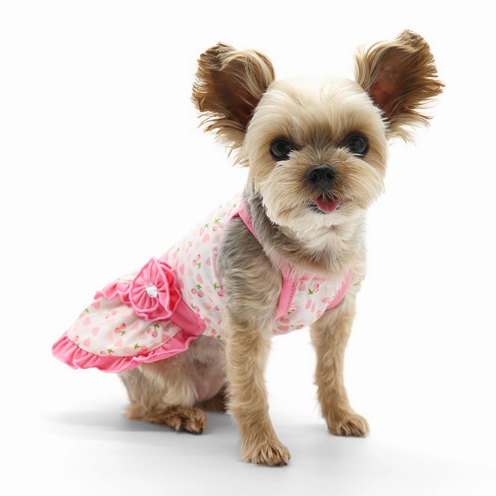 Cherish Heart Dog Dress