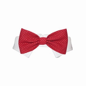 Christian Dog Bow Tie Collar