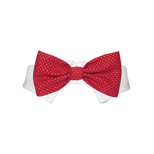 Christian Dog Bow Tie Collar