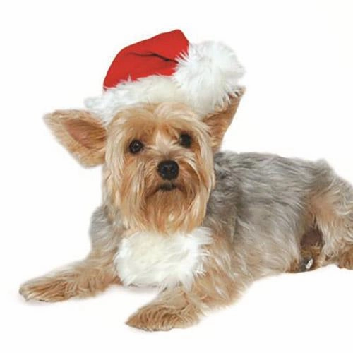Christmas Santa Dog Hat