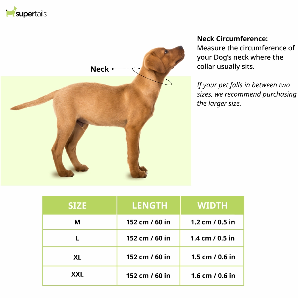 Chullbull Heavy Duty Chain Leash for Dogs (Silver)