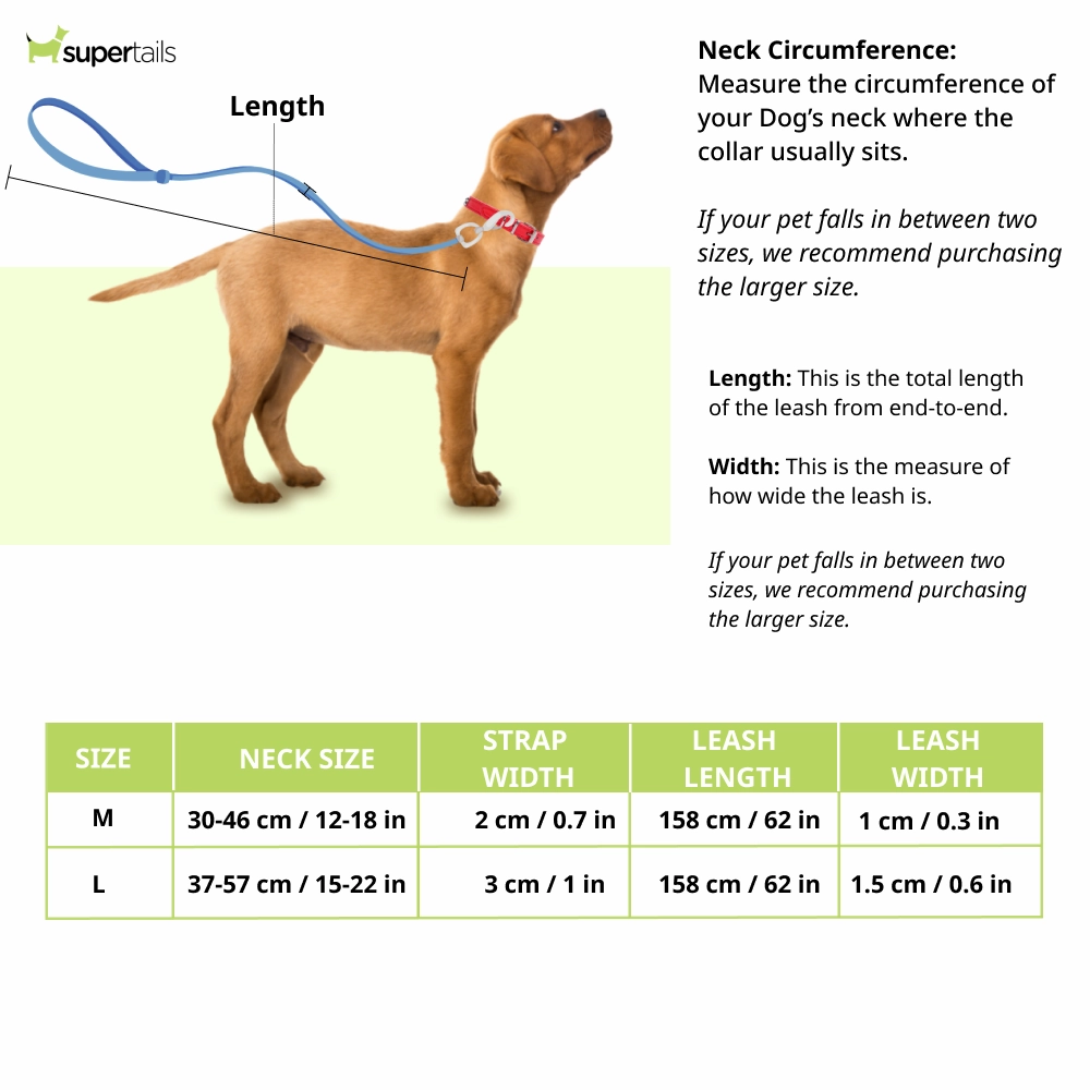 Chullbull Neck Collar and Rope Cord Leash for Dogs (Black)