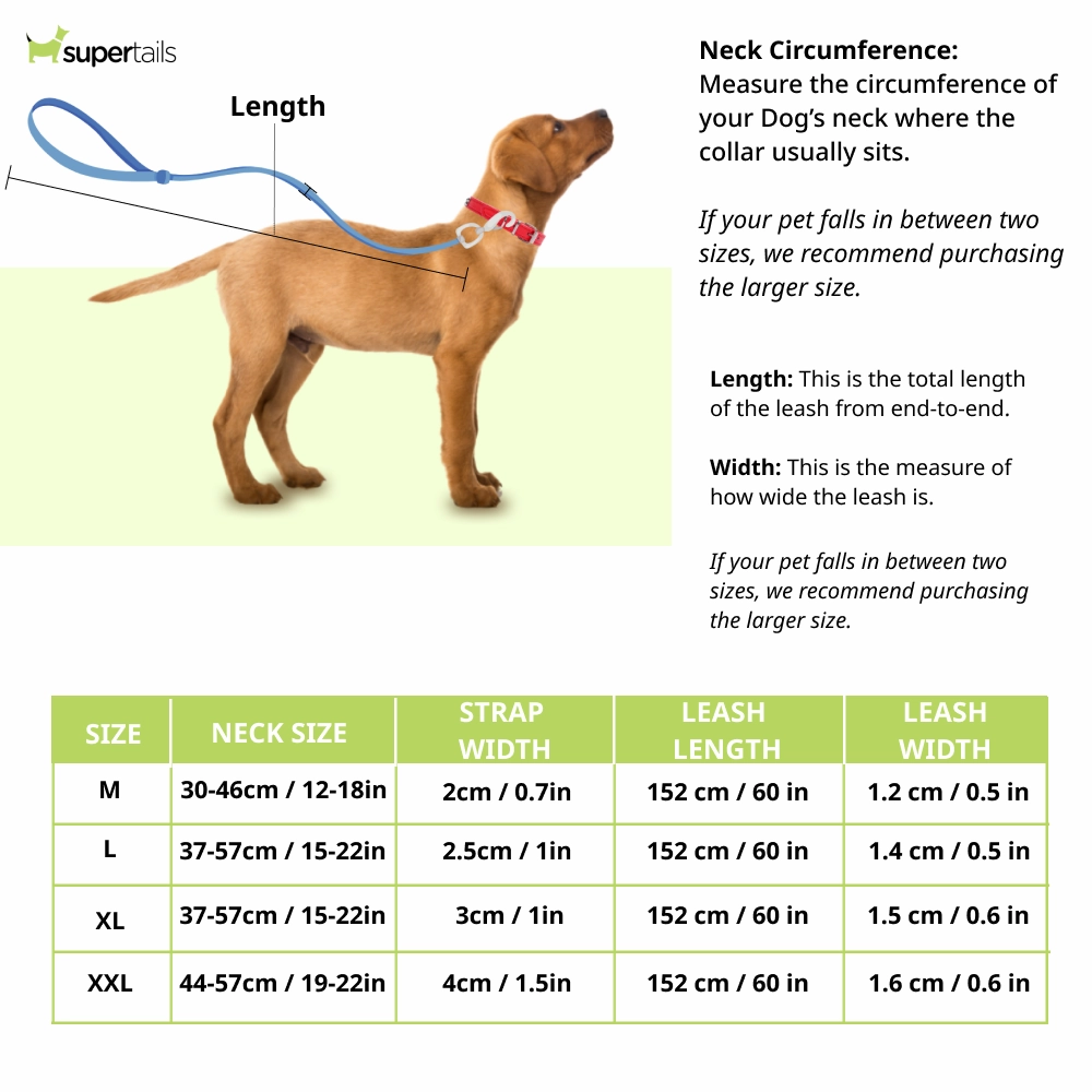 Chullbull Nylon Collar and Heavy Chain Leash for Dogs (Blue)