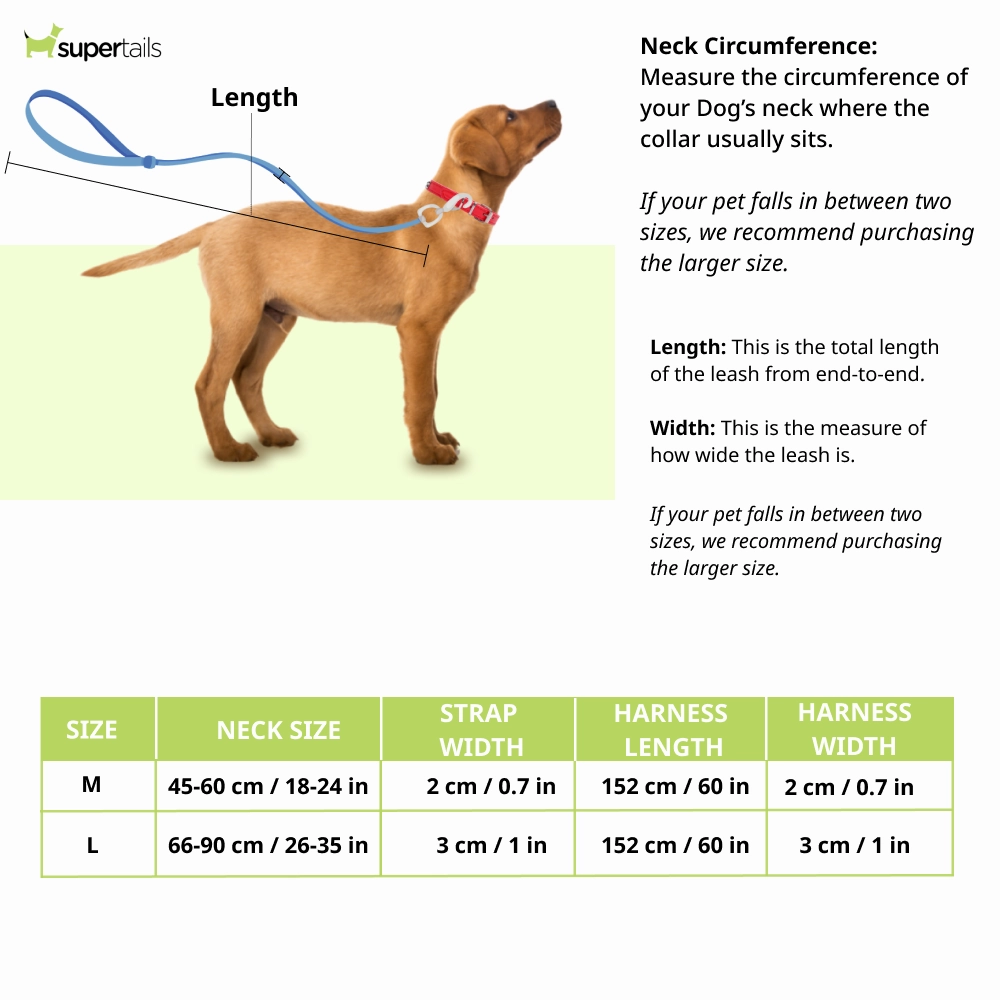 Chullbull Pet Products Harness and Leash for Dogs (Blue)