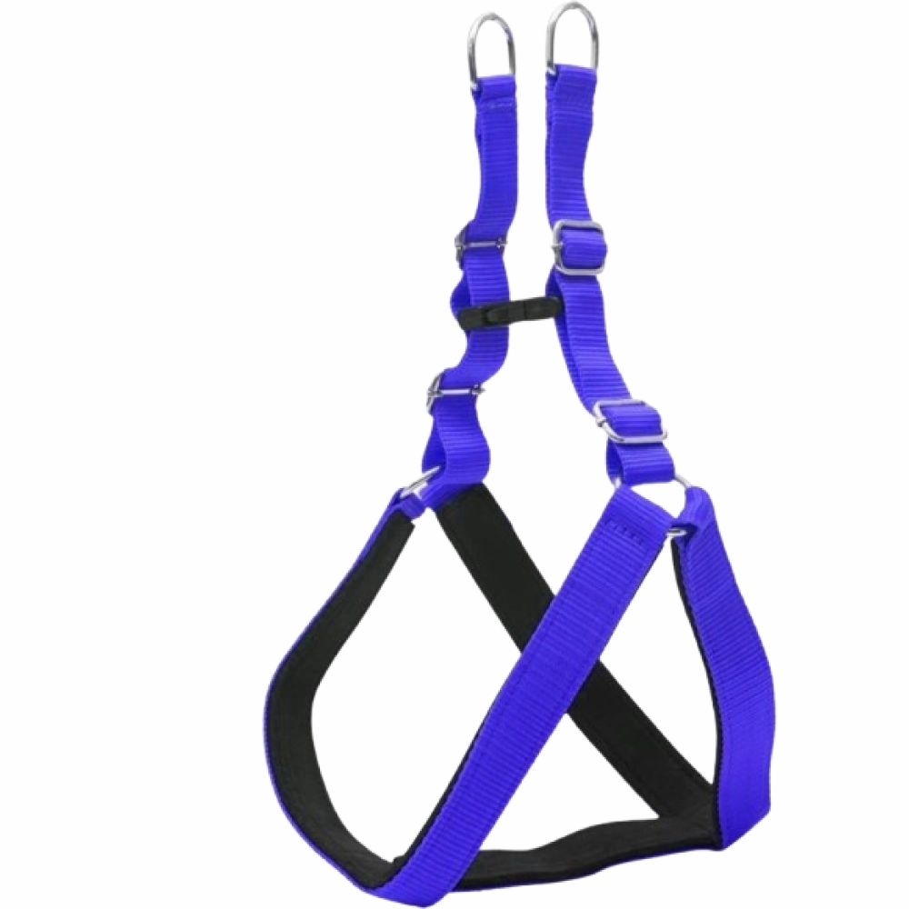 Chullbull Pet Products Harness and Leash for Dogs (Blue)