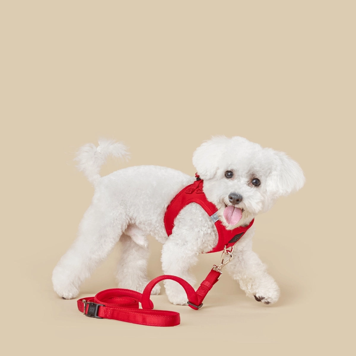 City Dog Leash Iconic Red