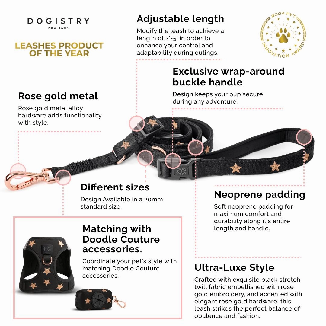 City Dog Leash Iconic Red