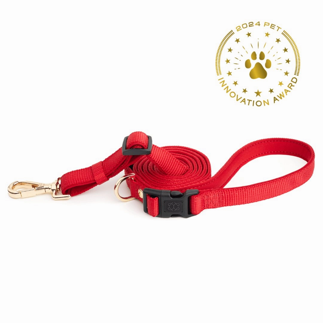 City Dog Leash Iconic Red