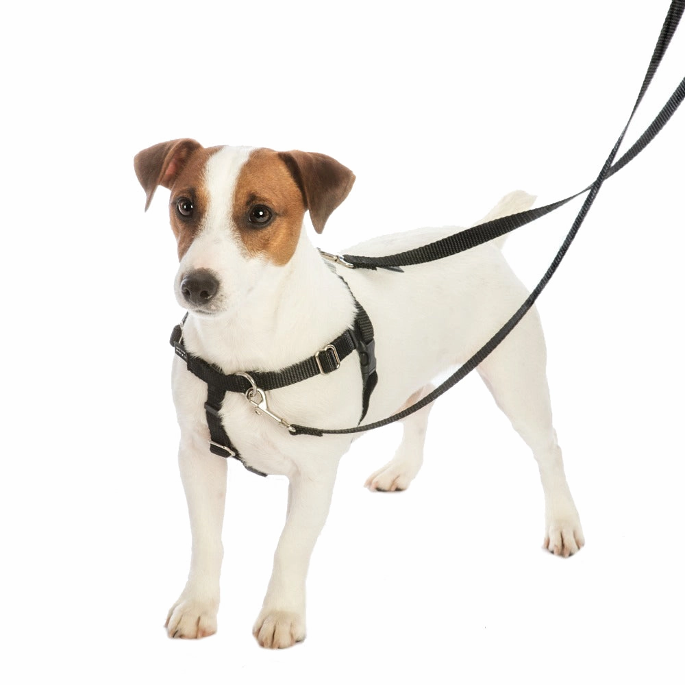 Classic Tie-Dye EarthStyle Freedom No-Pull Dog Harness