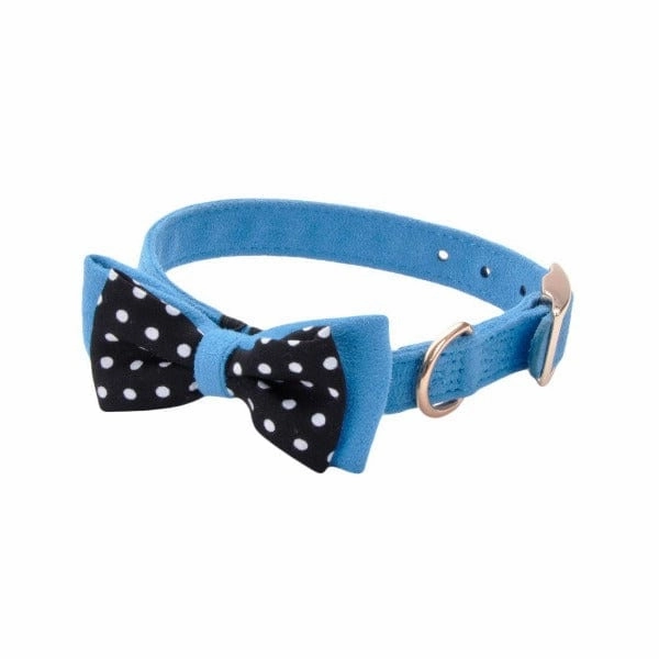 Coastal Accent Microfiber Dog Collar