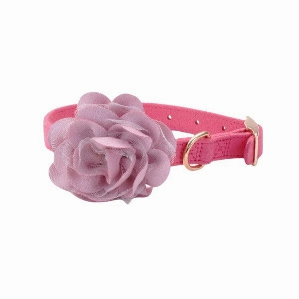 Coastal Accent Microfiber Dog Collar
