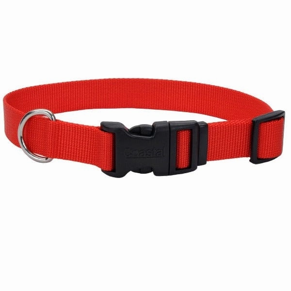 Coastal Adjustable Nylon Collar with Plastic Buckle