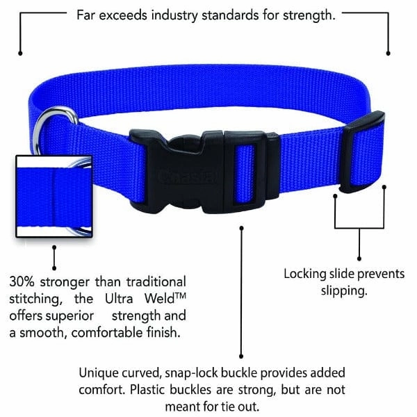 Coastal Adjustable Nylon Collar with Plastic Buckle