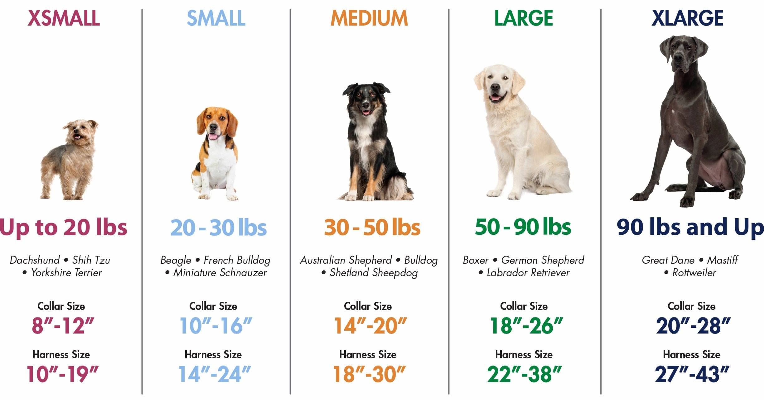 Coastal Pet Products K9 Explorer Brights Reflective Adjustable Dog Collar in Ocean