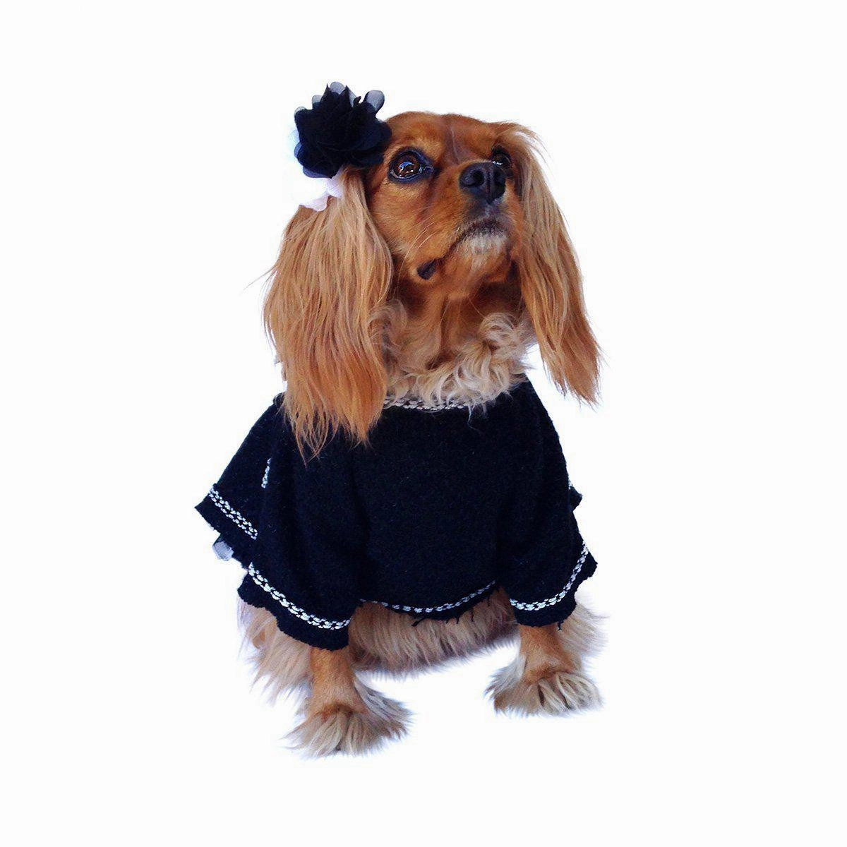 Coco Dog Coat Black