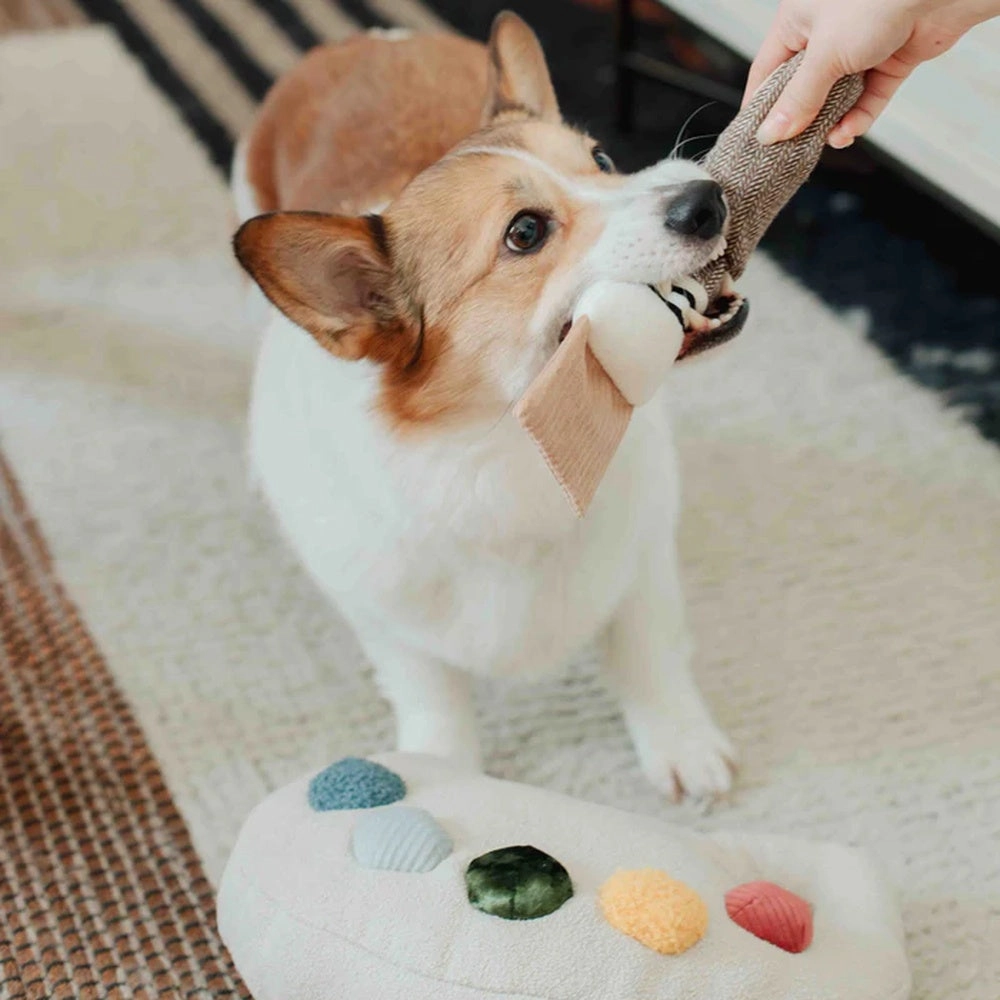Colour Palette Set Cushion   Toss Dog Toy