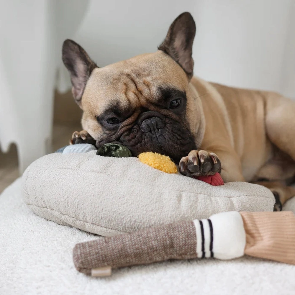 Colour Palette Set Cushion   Toss Dog Toy