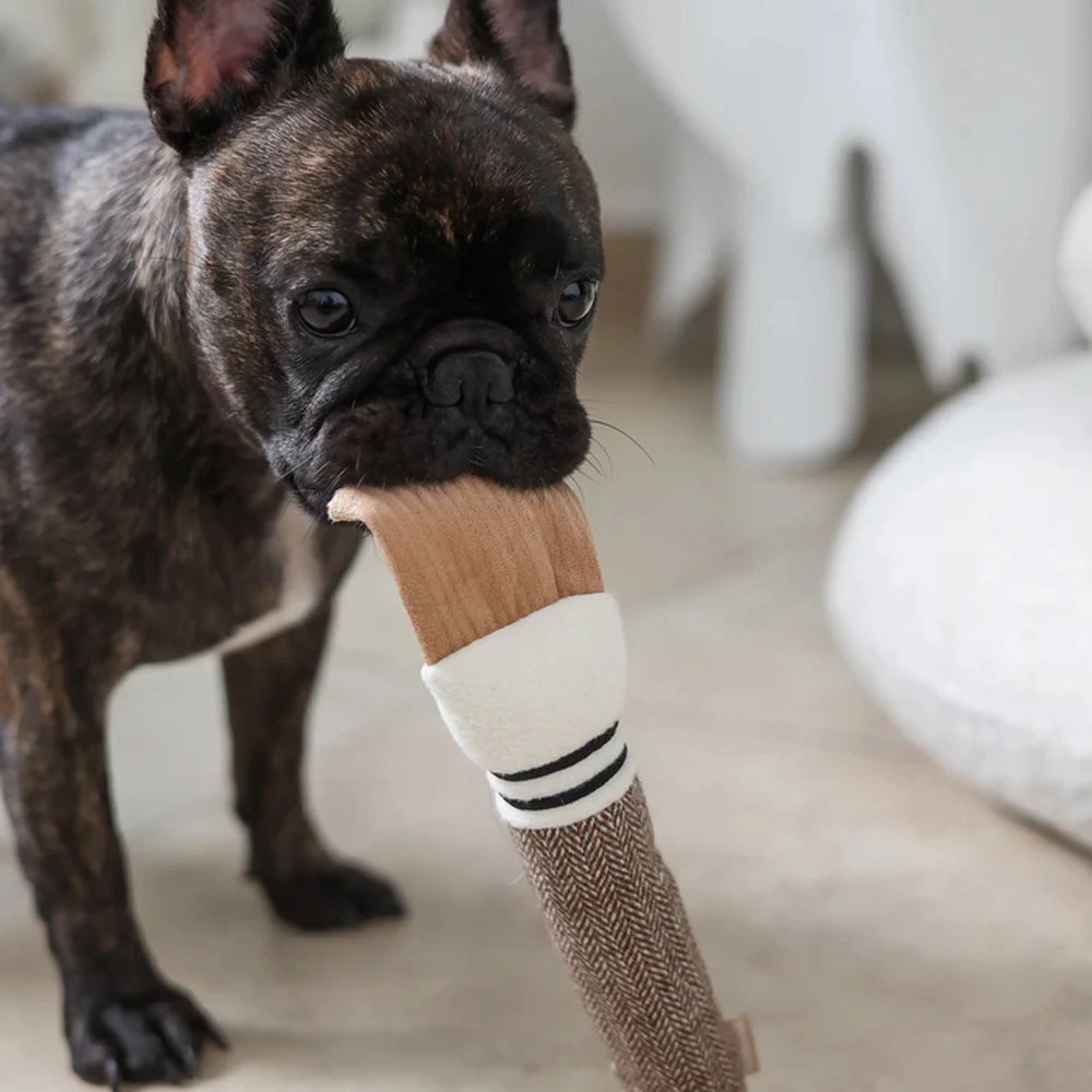 Colour Palette Set Cushion   Toss Dog Toy