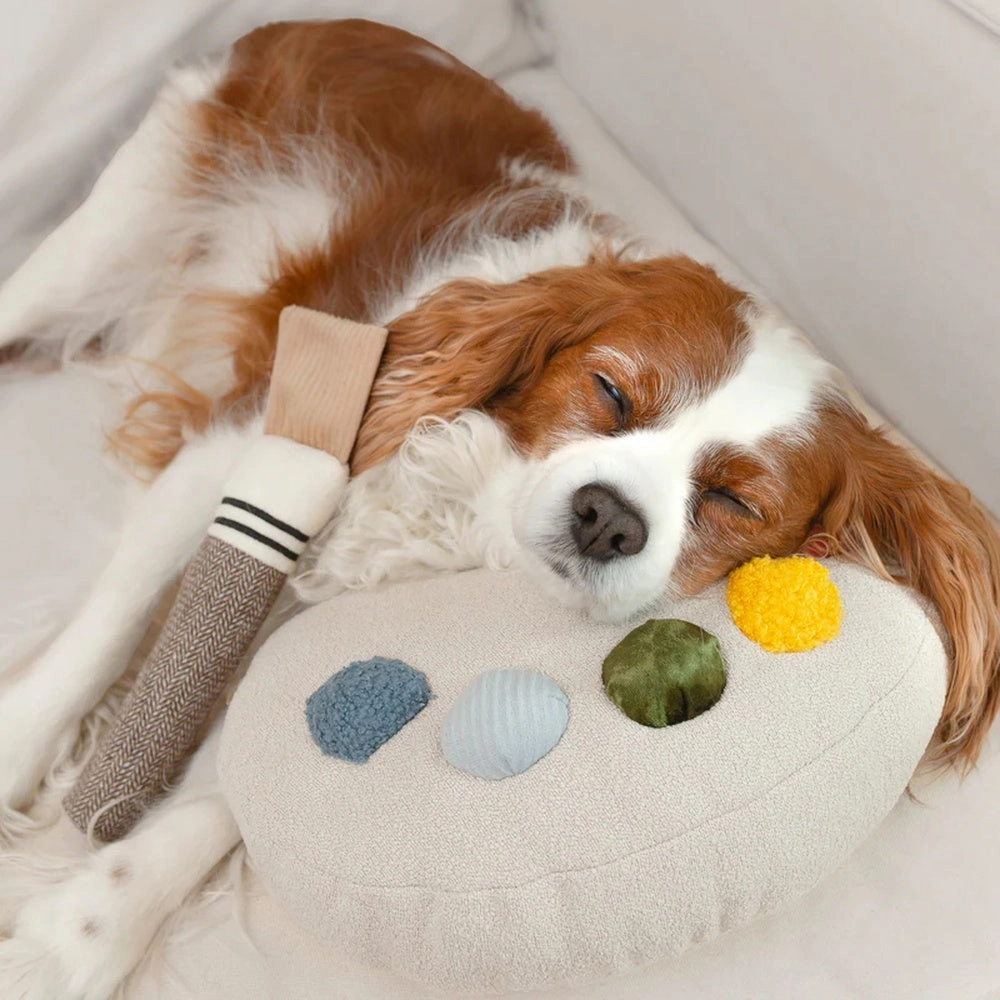 Colour Palette Set Cushion   Toss Dog Toy