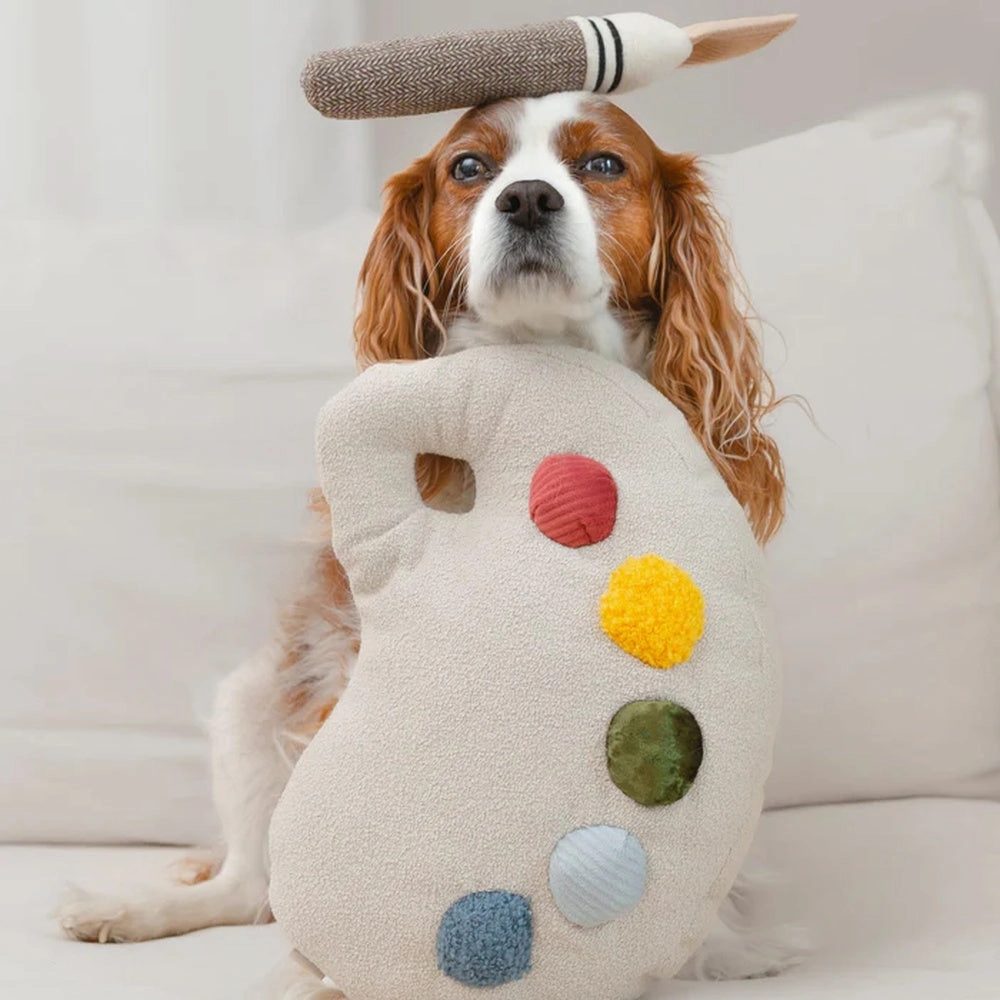 Colour Palette Set Cushion   Toss Dog Toy